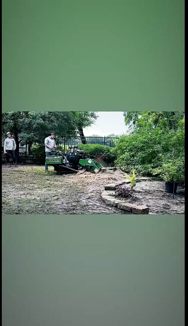 Tree Mower